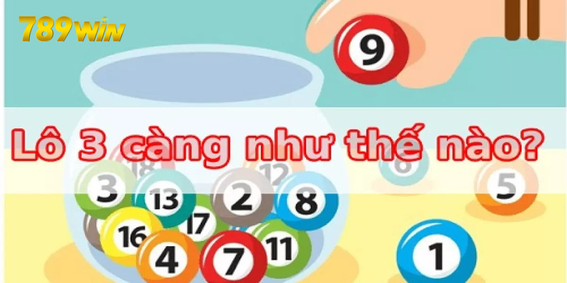 Lô 3 Càng - Chia Sẻ Từ A Đến Z Những Thông Tin Quan Trọng Khái niệm lô 3 càng